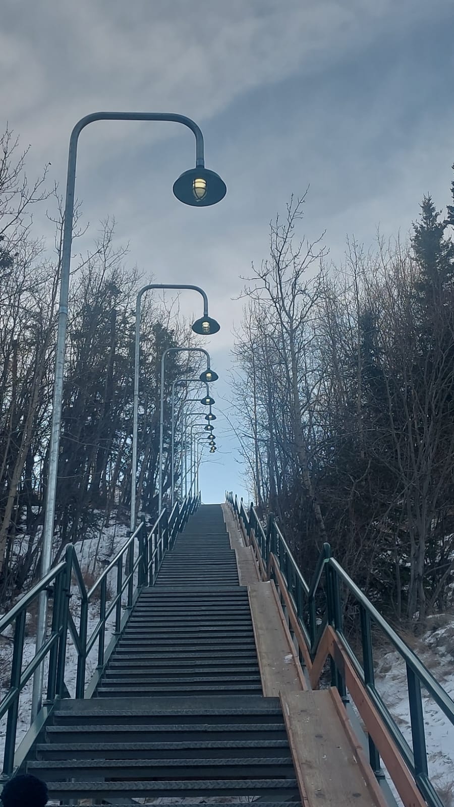 Describe your project